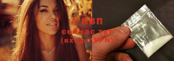 индика Вяземский