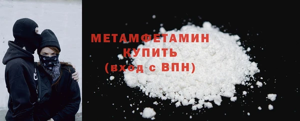индика Вяземский