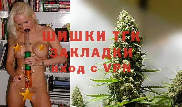 ГАЛЛЮЦИНОГЕННЫЕ ГРИБЫ Туринск