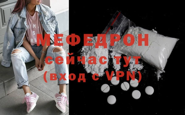 индика Вяземский