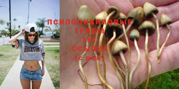 дурь Вязники
