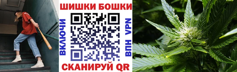 что такое Дмитриев Бошки Шишки индика